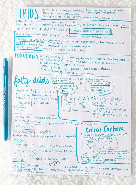 #neathandwriting #neatnotes #prettynotes #lipids Lipids Notes Biology, Lipids Biochemistry Notes, Lipids Notes, Lipids Structure, Sciences Aesthetic, Carbohydrates Biology, Bio Notes, Biochemistry Notes, Learn Biology