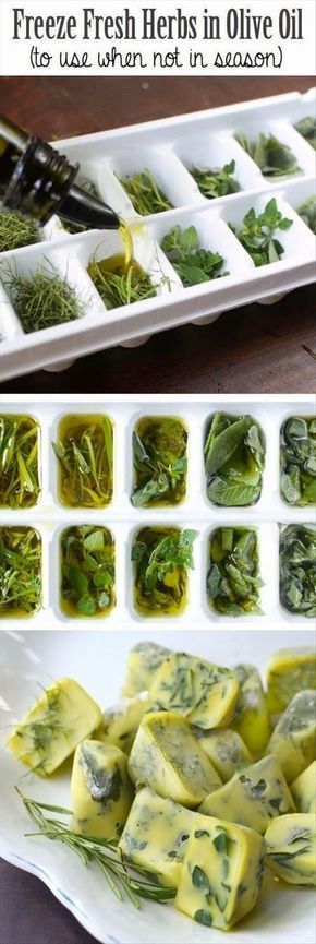 Freeze herbs while they are fresh - put chopped herbs into ice tray and add olive oil before freezing. Then put into freezer bags and label for later use. Freeze Fresh Herbs, Freezing Fresh Herbs, Preserve Fresh Herbs, Sommer Mad, Freezing Herbs, Preserving Herbs, Dada Ayam, God Mat, Deilig Mat