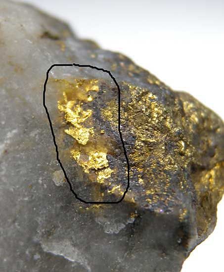 Gold Specimens, Gold Mining Equipment, Raw Gemstones Rocks, Natural Gold Nugget, Rock And Mineral, Gold Prospecting, International Market, Gold Bars, Pyrite Crystal