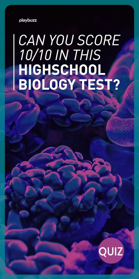 Can you get a perfect score on this high school biology test? High School Test, Biology Quiz, Science Quiz, Smart Quiz, Intelligence Quiz. Playbuzz Quiz Igcse Biology, Biology Test, Hard Quiz, Science Websites, Biology Student, Science Trivia, School Test, Science Quiz, School Biology