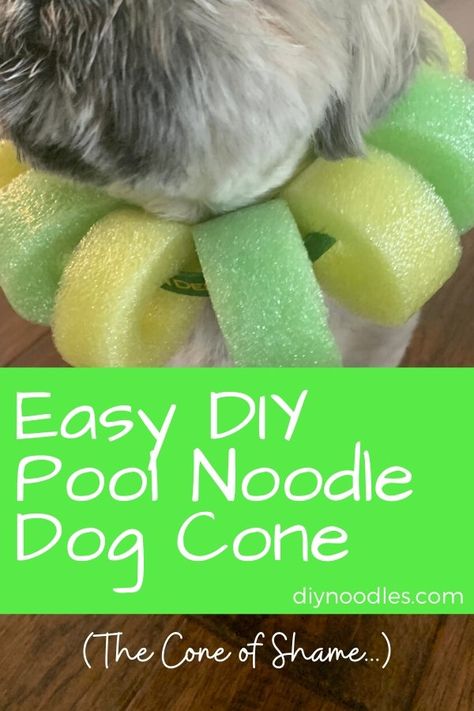 Diy Dog Cone, Homemade Dog Cone, Dog Cone Alternative, Diy Noodles, Dog Cone Collar, Cones Diy, Foam Noodles, Cone Collar, Dog Cone