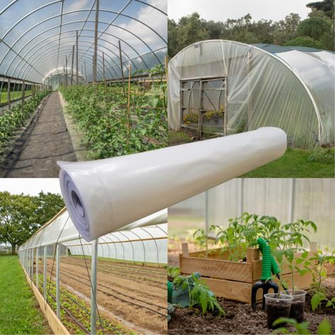 PRICES MAY VARY. Plastic Greenhouse Cover - Our 6 mil clear plastic for greenhouses is tough and durable. Made from premium polyethylene plastic sheeting, our green house plastic creates an optimal greenhouse environment. Greenhouse Plastic UV - Farm Plastic Supply's 6mil clear plastic is constructed with anti-aging UV additives, made for long term use. These additives protect the green house film from UV rays and prolong the life of your hoop house plastic. Superior Light Transmission - Our cle Diy Greenhouse Shelves, Plastic Greenhouse, Tunnel Greenhouse, Hoop House, Greenhouse Cover, Diy Greenhouse Plans, Greenhouse Plants, Greenhouse Plans, Diy Greenhouse