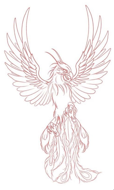 Phoenix Outline Drawing, Phoenix Drawing Tattoo, Phoenix Outline Tattoo, Phoenix Drawing Simple, Phoenix Art Drawing, Phoenix Tattoo Stencil, Fenix Tattoo Design, Phoenix Stencil, Phoenix Tattoo Sketch