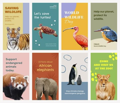 Wildlife Brochure Design, Animal Conservation Poster, Animal Infographic Design, Animal Protection Poster, Animal Poster Design, Animal Brochure, Zoo Poster Design, Zoo Signage, Elephant World