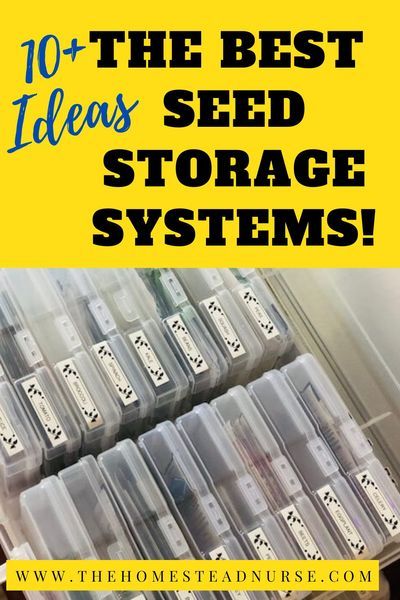 Seed Storage Ideas, Saving Seeds From Vegetables, Seed Saving Storage, Organize Seeds, How To Store Seeds, Storage And Organization Ideas, Storing Vegetables, Seed Storage, Seed Box