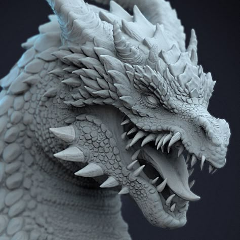 Dragon Bust sketch, Jas Dhatt on ArtStation at https://www.artstation.com/artwork/GXxQZ4 Tiamat Dragon, Dragon Anatomy, Dragon Face, Dragon Artwork Fantasy, Clay Dragon, Dragon Sculpture, Dragon Illustration, Kickstarter Campaign, Dragon Pictures