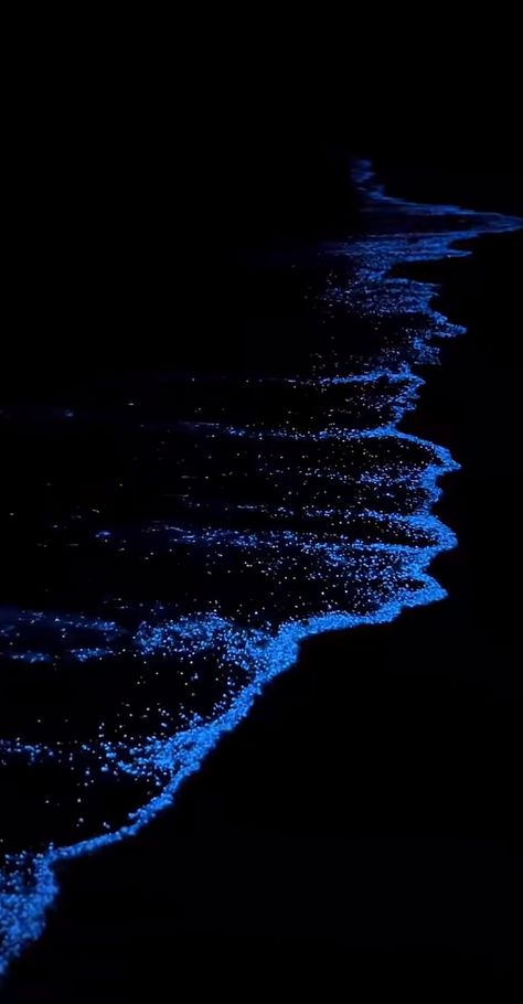 Bioluminescence Aesthetic Wallpaper, Black Sea Aesthetic, Iphone Wallpaper Stills, Tapeta Galaxie, Butterfly Knot, Dark Phone Wallpapers, Cool Wallpapers Art, Phone Wallpaper Images, Simple Wallpapers