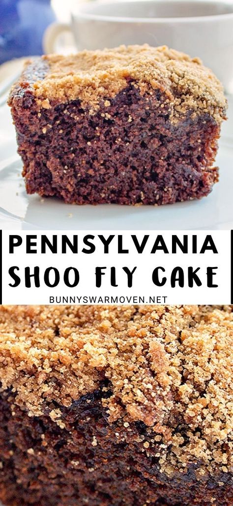 Shoe Fly Cake Recipe, Shoefly Cake Pennsylvania Dutch, Amish Shoo Fly Pie Recipe, Pa Dutch Desserts, Baked Bean Cake, Shoo Fly Pie Recipe Pennsylvania Dutch, Shoefly Cake, Pinto Bean Cake 1955, Shoefly Pie Recipe