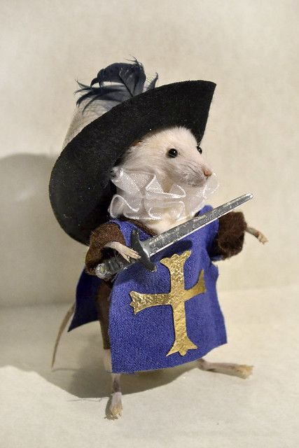 mousketeer | Denise Kendig | Flickr Funny Taxidermy, Funny Rats, Funny Mouse, Koci Humor, Cute Rats, Funny Animal Photos, Cute Hamsters, 웃긴 사진, Silly Animals