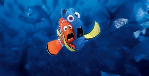 Scared Nemo Wallpaper, Dory And Marlin, Dory Finding Nemo, Finding Nemo 2003, Disney Finding Nemo, Film Disney, Whatsapp Wallpaper, Film D'animation, Finding Dory