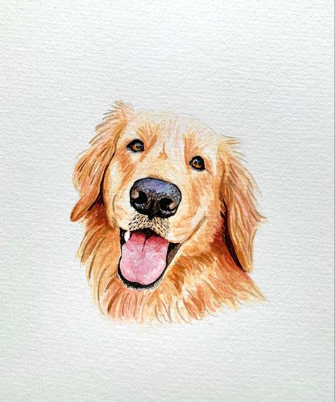 Finished watercolor portrait of a golden retriever portrait #watercolorpainting #watercolorarts #goldenretriever #goldenretrieverpuppy #petportrait #petportraitartist Golden Retriever Acrylic Painting Easy, Golden Retriever Watercolor Easy, Golden Retriever Watercolor Painting, Golden Retriever Painting Easy, Watercolor Golden Retriever, Golden Retriever Portrait, Golden Retriever Drawing, Painting Clipart, Golden Watercolor