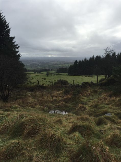 English Forest Aesthetic, Medieval Ireland Aesthetic, Ireland Winter Aesthetic, Dark Ireland Aesthetic, Northern England Aesthetic, Northern Europe Aesthetic, Irish Folklore Aesthetic, Northern Ireland Aesthetic, Rainy Ireland