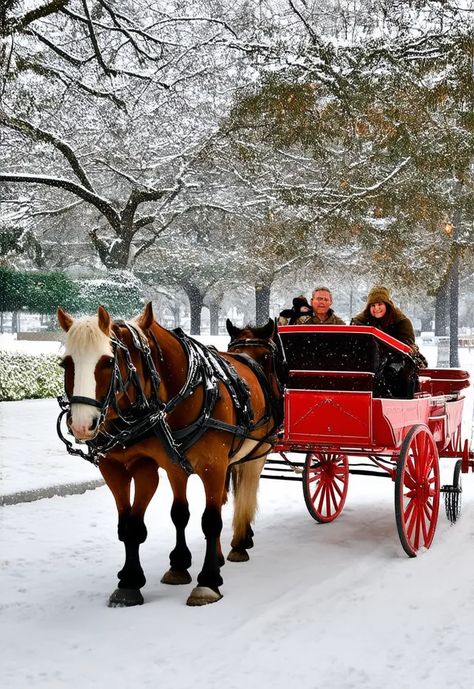 If you’re traveling with your partner and you’re looking for something romantic to do, then definitely book a horse carriage tour in Central Park!
Just imagine the whole park covered in snow, the cute little carriage, the horses, Christmas lights, what can be more romantic than that?
#ChristmasVacation #ChristmasThingsToDo #ChristmasTreeIdeas #ChristmasList #ChristmasDecorIdeas #ChristmasVacationQuotes #MerryChristmas #Christmas2024 #ChristmasCouple #ChristmasNight #ChristmasEvent Central Park Christmas, Horses Christmas, Christmas In Nyc, Christmas Vacation Quotes, Santa Experience, Christmas Things To Do, Magical City, American Holidays, Christmas Destinations