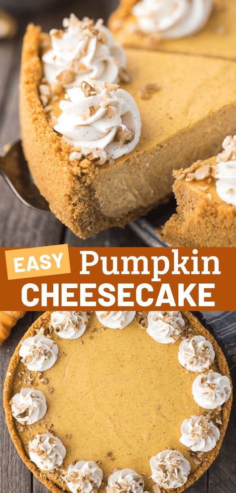 The most comment feedback I get on this pumpkin cheesecake recipe is that it is to die for! Yep, it’s that good. This is the pumpkin pie cheesecake you’ll make over and over, with just 7 ingredients and options to use your favorite crust. Keep reading for all my best cheesecake tips! Pumpkin Cheesecake Tarts, Pumpkin Pie Cheesecake Recipe, Cheesecake Pumpkin, Gluten Free Pumpkin Pie, Fall Goodies, Thanksgiving Foods, Cheesecake Crust, Pumpkin Pie Cheesecake, Pie Filling Recipes