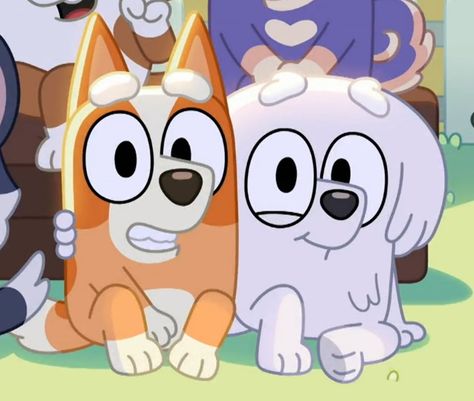 Bluey Widget, Bingo And Lila, Spotify Pfp, Bluey Bluey, Bluey Stuff, Bluey Characters, Bingo Funny, Cartoon Dogs, Cartoon Pfp