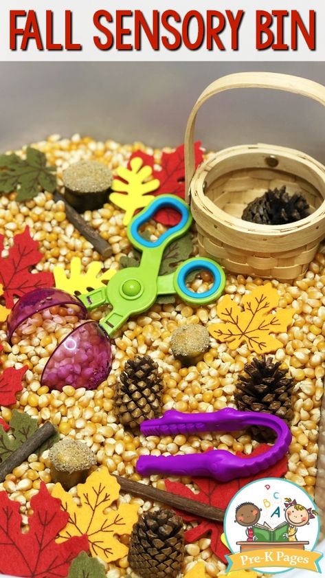 Fall Sand Sensory Bin, October Preschool Sensory Bins, Preschool Fall Sensory Activities, Fall Nature Sensory Bin, Preschool Fall Science Center, Fall Sencery Bin, Fall Sensory Bin Prek, Diy Fall Sensory Bin, Fall Rice Sensory Bin