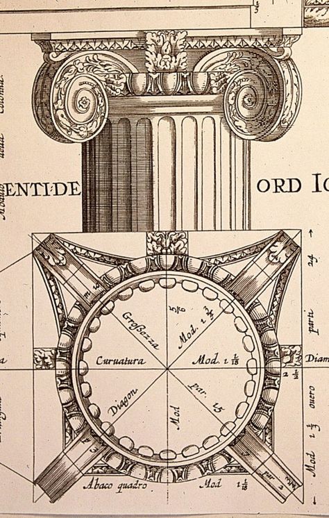 Doric Order, Ionic Order, Marble Pillar, Architecture Antique, Ionic Column, New Architecture, Roman Architecture, Architectural Prints, Architectural Drawing