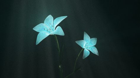 ArtStation - Luminescent flowers Luminescent Aesthetic, Magical Flowers, Undertale Oc, Glowing Flowers, Glow Art, Oc Board, Painted Clothes Diy, Fantasy Flowers, Space Stuff