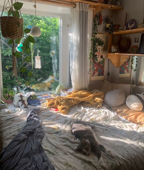 Aesthetic bedroom with cat and plants everywhere! Bedroom Ideas With Cats, Cat In Bedroom, Beach Aesthetic Room Ideas, Bedroom With Cat, Therian Bedroom, Big Couches, Comfy Bed Aesthetic, Cat In Bed, Comfy Room