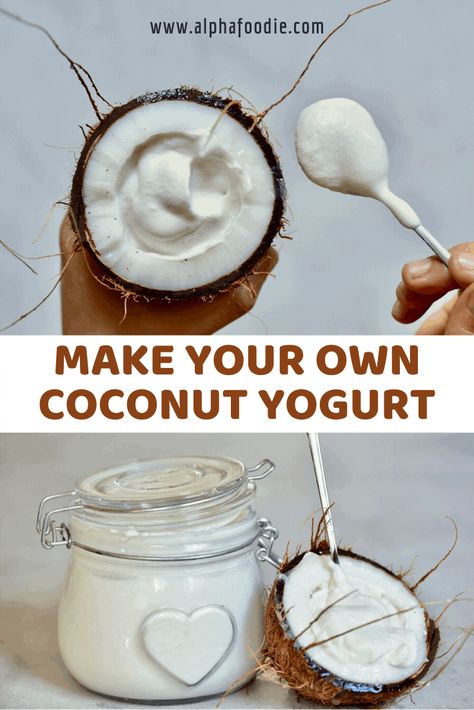 Dairy-Free Coconut Yogurt Coconut Yogurt Recipe, Homemade Coconut Yogurt, Yogurt Brands, Coconut Milk Yogurt, Coconut Yoghurt, Yogurt Recipe, Coconut Desserts, Dairy Free Yogurt, Low Carb Snack