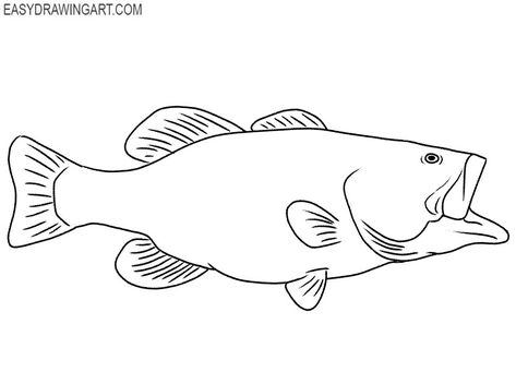 Bass Fish drawing tutorial Bass Fish Drawing Easy, Simple Bass Fish Tattoo, Bass Painting Easy, Bass Drawing Fish, Bass Outline, Bass Fish Drawing, How To Draw A Fish, Fish Drawing Tutorial, Simple Fish Drawing