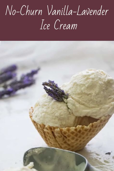 No-Churn Vanilla-lavender ice cream is summer on a spoon! Infuse the fresh floral essence of lavender into a sweet, creamy, no-churn ice cream that is easy to make. This ice cream will transport you to the serene lavender fields of France. Lavender Honey Ice Cream, Honey Ice Cream, Lavender Ice Cream, Ice Chips, Vanilla Lavender, Lavender Syrup, Milk Ice Cream, No Churn Ice Cream, Fancy Desserts