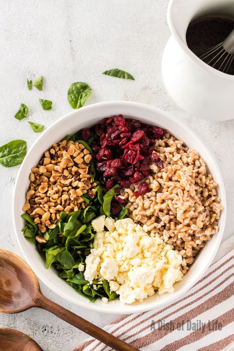 This easy Farro Salad Recipe with spinach, cranberries and feta, topped with balsamic dressing, is a delicious any time of year! #farrosalad #farrosaladrecipe #farrosaladwithfeta #besteverfarrosalad #fallfarrosalad #farrosaladwithfetaandcranberries #spinachfarrosalad #spinachandfarrosalad #farrocranberrysalad #adishofdailylife #dishofdailylife Faro Salad, Farro Bowls, Farro Salad Recipes, Recipe With Spinach, Salad With Spinach, Farro Recipes, High Antioxidant Foods, Cranberry Salad, Grilled Tofu