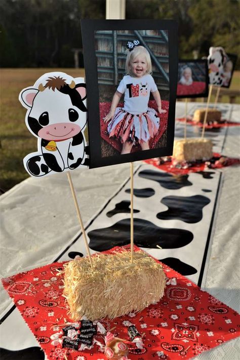 Rodeo Birthday Parties, Cow Birthday Parties, Farm Themed Party, Barnyard Birthday Party, Farm Theme Birthday, Farm Animals Birthday Party, Farm Themed Birthday Party, Cowboy Birthday Party, Rodeo Birthday