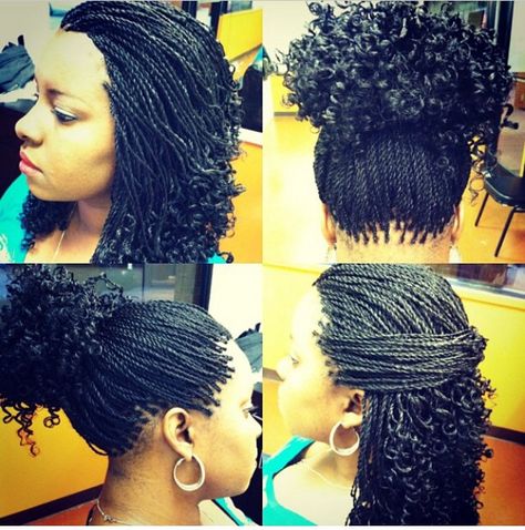 Senegalese twists braids with curls at the end Havana Twist Hairstyles, Micro Braids Hairstyles, Trendy We Fryzurach, Faux Loc, Senegalese Twist Braids, Senegalese Twist Hairstyles, Colorful Hairstyles, Twisted Hair, Curly Braids