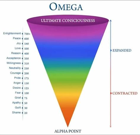 The Oregon Trail, Vibrational Frequency, Energy Medicine, Vibrational Energy, Energy Work, Past Life, Energy Healing, The Words, Mind Body