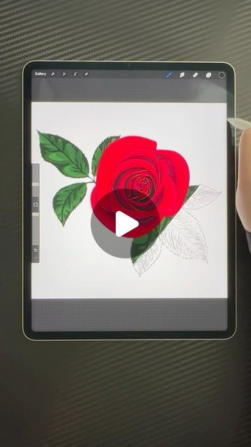 @devibasta on Instagram: "Rose in Procreate
#drawing#sketch#vector#ipad#realistic#realisticrose" Procreate Drawing, July 7, Drawing Sketch, Flower Photos, A Flower, Ipad, Sketch, Drawings, Flowers