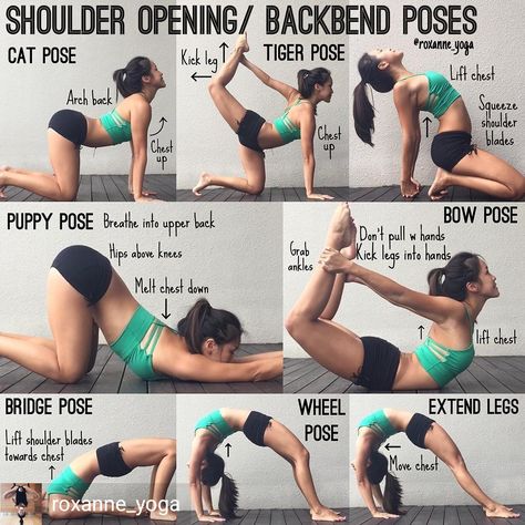 Quad Stretches, Engage Core, Backbend Poses, Pose Tutorial, Low Lunge, Beginner Pilates, Quad Stretch, Puppy Pose, Yoga Handstand