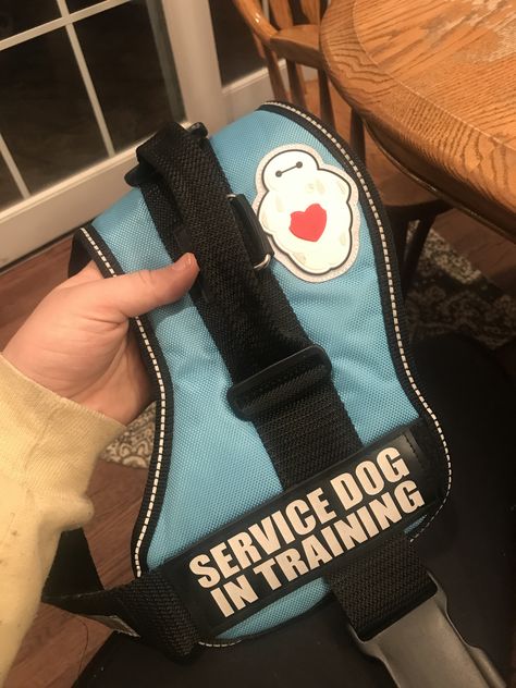 Disney Service Dog Vest, Disney Service Dog, Service Dog Patches, Service Dogs Gear, Service Dog Training, Dogs Stuff, Service Dog Vests, Dog Vests, Dog Patch