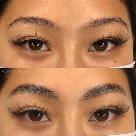 Explore the best eyebrow lamination before and after photos. Look through the best examples of eyebrow lamination done by technicians all over the world and get inspired! #browlamination #eyebrowlamination #browperm #eyebrowperm #eyebrowlaminationbeforeandafter #eyebrowlaminationbeforeafter #browlaminationbeforeandafter #browlaminationbeforeafter #browpermbeforeafter #browpermbeforeandafter #pmuhub Eyebrow Lamination And Tint Before And After, Threaded Eyebrows Before And After, Eyebrow Threading Before And After, Eyebrows Before And After, Eyebrow Lamination Before And After, Eyebrow Tinting Before And After, Eyebrow Lamination And Tint, Natural Brow Lamination, Brow Lamination Before And After