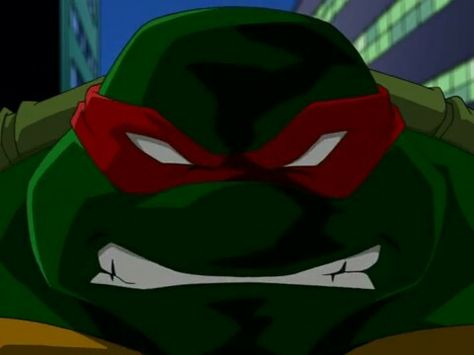 Raphie Tmnt 2003 Raphael, Turtle Reference, Rabbit Samurai, Tmnt Wallpaper, Tmnt Fanart, Tmnt 2003, Turtles Forever, Raphael Ninja Turtle, Raphael Tmnt