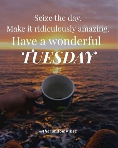 Seize the day. Make it Amazing. Have a Wonderful Tuesday! Today is your chance to take control and make things happen! Embrace every opportunity, tackle your goals with enthusiasm, and let this Tuesday be a stepping stone to an incredible week. Let’s make today amazing! #TuesdayMotivation #CarpeDiem #MakeItAmazing #LifeCoachKMack Tuesday Captions, Positive Work Quotes, Tuesday Morning Wishes, Tuesday Pictures, Tuesday Images, Make Today Amazing, Facebook Engagement Posts, Happy Tuesday Quotes, Positive Quotes For Work