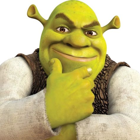 Shrek Shrek Characters, Life In London, Shrek, In London, Insurance, London, With Friends, The World, Green