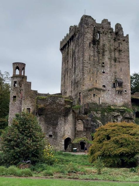 Blarney Castle in Cork Ireland 🇮🇪 beautiful old Castle is abandoned and in Ruins Old English Castle, Old Castle Ruins, Faith Core, Castle Reference, Old Castles, Ruined Castle, Irish Architecture, American Castles, Blarney Castle