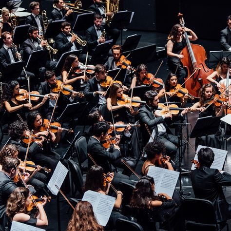 Did you know that that Havergal Brian’s Symphony No. 1, the “Gothic”, to be performed requires an orchestra made of more than 800 musicians, of whom 81 are string players? The Gothic, Symphony Orchestra, Music Design, Yurt, New Trailers, Latest Movies, Scary Movies, Movie Trailers, Classical Music