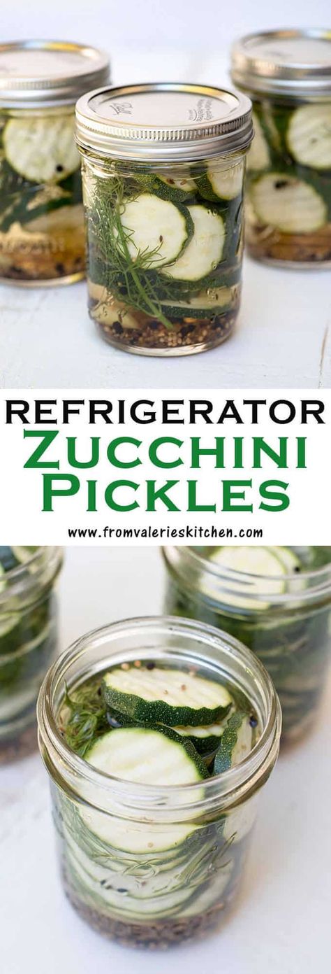 Can You Pickle Zucchini, Zucchini Refrigerator Pickles, Dill Pickled Zucchini Recipes, Thinly Sliced Zucchini Recipes, Pickled Zucchini Refrigerator, Freezing Zucchini Slices, Pickled Zucchini Recipes Canning, Pickling Zucchini, Zucchini Pickles Recipes