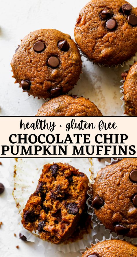 Healthy Pumpkin Chocolate Chip Muffins, Milk Allergy Mom, Gluten Free Pumpkin Spice, Gluten Free Pumpkin Muffins, Dairy Free Pumpkin, Baked Oatmeal Cups, Pumpkin Muffin Recipes, Pumpkin Chocolate Chip Muffins, Pumpkin Spice Muffins