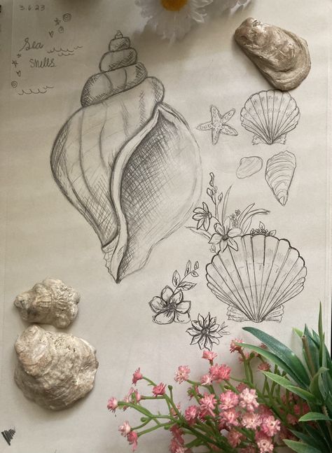 Seashell Drawing Aesthetic, Conch Shell Sketch, Pearl In Shell Drawing, Seashell Art Drawing, Seashell Drawing Sketches, Seashell Tattoo With Flowers, Shells Sketch, How To Draw Seashells, Sea Shell Sketch