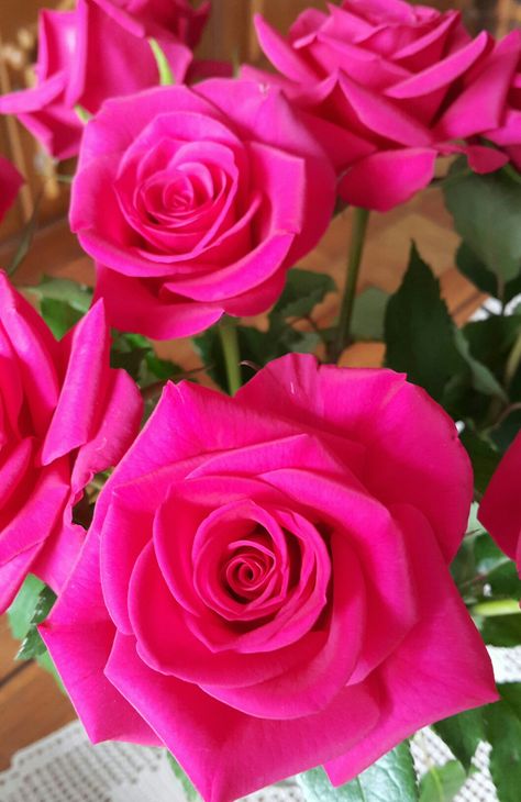 Cerise pink roses... so beautiful! Hot Pink Roses Aesthetic, Cerise Pink Aesthetic, Cerise Pink Nails, Beautiful Rose Flowers Romantic, Happy Diwali Wallpapers, Hot Pink Wallpaper, Pink Floral Wallpaper, Rose Flower Photos, Pink Flowers Background