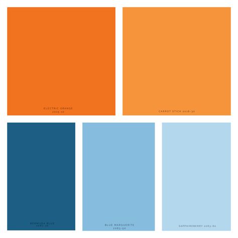 A complementary color scheme in varying degrees of blues and oranges. Blues And Orange Color Palette, Blue Orange Kitchen Ideas, Orange Complementary Colors, Color Palette Blues And Oranges, Complementary Colors To Orange, Interior Design Orange And Blue, Blue Orange Black White Color Palette, Blue Orange Living Room Color Scheme, Orange And Blue Room Decor