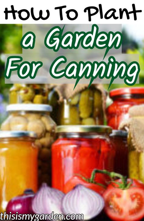 How To Plant A Garden For Canning - top tips to plan your garden to feed your family through canning and preserving.  #garden #canning #preserving #plan #vegetable #masonjar #pressurecan #waterbath #ball #thisismygarden Canning Garden Layout, Ball Canning Recipes, Canning Garden, Garden Canning, Preserving Meat, Freezer Ideas, Canning Fruit, Canning Ideas, Recipes Salads