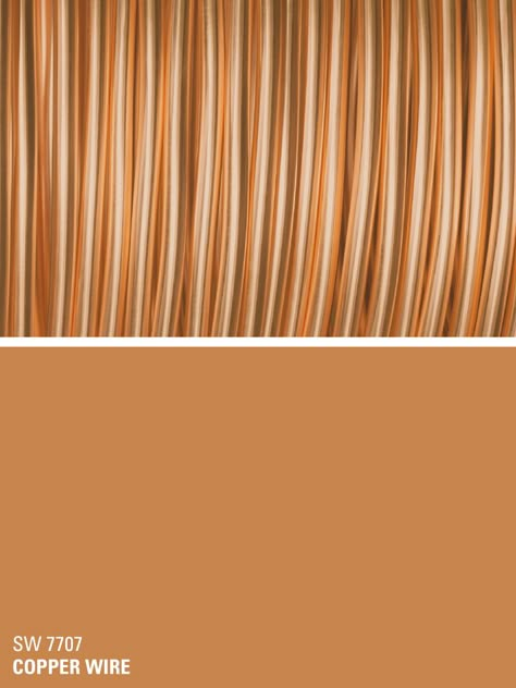 Sherwin-Williams orange paint color – Copper Wire (SW 7707) Sherwin Williams Orange, Grey Paint Schemes, Orange Paint Colors, Kitchen Paint Colors, Sherwin Williams Paint Colors, Orange Paint, Room Paint Colors, Exterior Paint Colors, Bathroom Colors