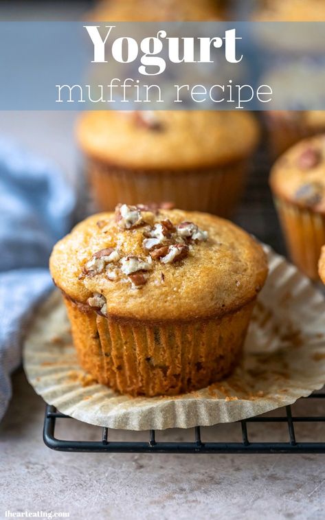 Yogurt Muffin Recipe Recipes Using Plain Yogurt Baking, Muffins Made With Yogurt, Yogurt Muffin Recipes, Greek Yogurt Muffins Healthy, Cranberry Yogurt Muffins, Muffins Made With Greek Yogurt, Yogurt Muffin, Plain Muffins, Yoghurt Muffins