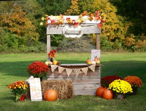 Pumpkin Patch Stand Photoshoot, Pumpkin Stand Photoshoot, Pumpkin Stand Mini Session, Diy Pumpkin Patch Photo Shoot, Pumpkin Stand Ideas, Pumpkin Farm Stand, Fall Farm Stand, Pumpkin Patch Stand, Pumpkin Patch Decoration