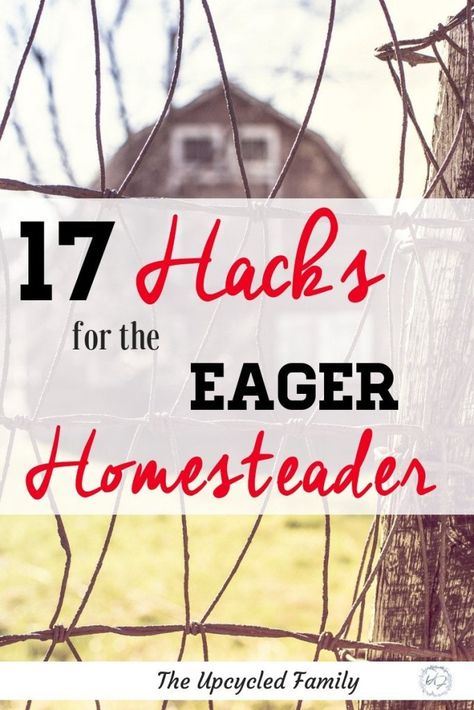 Start Homesteading, Homestead Hacks, Homestead Business, Homesteading Hacks, Homestead Tips, Homestead Skills, Cowgirl Lifestyle, Modern Homesteading, Homestead Life