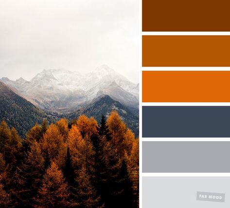 Pretty Autumn Color Schemes { Smokey + burnt orange } A pretty colour palette. To get you started on your own palette, we’ve created over... Fall Photography Color Schemes, Orange Hues Colour Palettes, Burnt Orange Mustard Color Palette, Colours That Go With Burnt Orange, Colors With Burnt Orange, Burnt Orange Colour Scheme, Fall Tones Colour Palettes, Colour Palette Burnt Orange, Color Schemes Burnt Orange